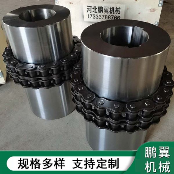 福建链条联轴器